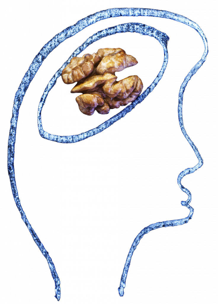Outline of a human figure with a walnut in place of the brain, symbolizing mental health struggles and complexity of thought.
